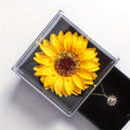 🌻✨ Combo Girasol